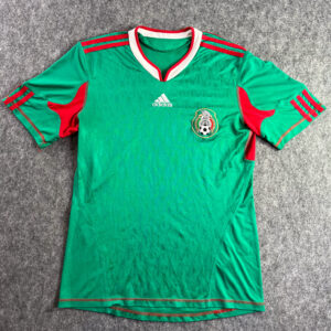 México Local 2010