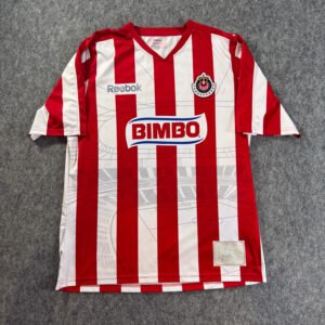 Chivas Local 10-11 Edición Estadio Omnilife